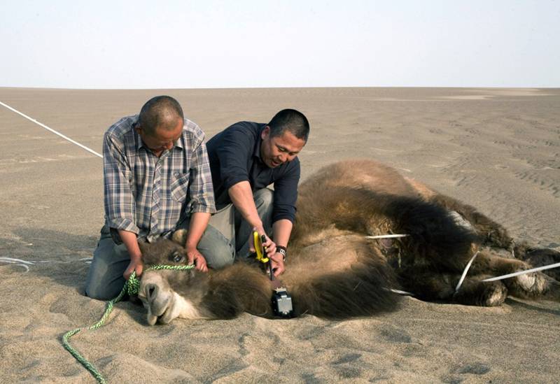 liu shaochuang.jpg